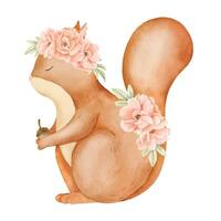 rouge écureuil avec Rose fleurs. main tiré aquarelle illustration de des bois animal pour bébé douche salutation cartes ou puéril fête invitations. forêt sauvage animal de compagnie dans mignonne dessin animé style pour garderie vecteur