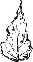 esquisser dessin de une bouleau feuille dans noir et blanc contour. ancien combinaison de bouleau feuille. vecteur
