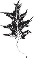 esquisser dessin de une chêne feuille dans noir et blanc contour. ancien chêne, génial conception pour tout fins. vecteur
