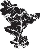 esquisser dessin de une chêne feuille dans noir et blanc contour. ancien chêne, génial conception pour tout fins. vecteur