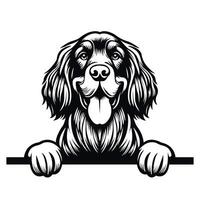 noir et blanc gordon setter chien furtivement visage illustration vecteur