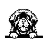 ai généré noir et blanc Terre-Neuve chien furtivement visage silhouette illustration vecteur