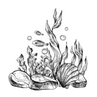 sous-marin monde clipart avec mer animaux poisson, cailloux, bulles, corail et algues. graphique illustration main tiré dans noir encrer. composition eps vecteur