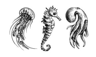 sous-marin monde clipart avec mer animaux pieuvre, hippocampe, méduse. graphique illustration main tiré dans noir encrer. une ensemble de isolé éléments eps vecteur