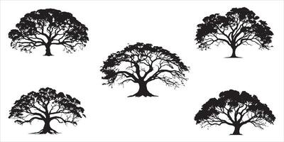 arbre silhouette ensemble contour vecteur illustration sur blanc Contexte