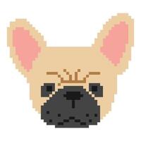 français bouledogue tête pixel 1 mignonne sur une blanc arrière-plan, vecteur illustration.