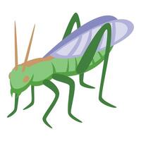 sauterelle animal icône isométrique vecteur. mignonne insecte vecteur