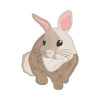 illustration de lapin vecteur