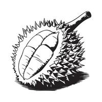 durian vecteur art, Icônes, et graphique
