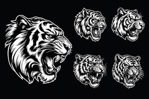 foncé art en colère bête tigre tête noir et blanc illustration vecteur