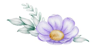 violet fleur avec feuilles. main tiré aquarelle illustration. pour mariage faire-part, emballage de marchandises, carte postale conception et papeterie. vecteur