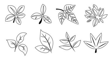 vecteur illustration avec une collection de six différent feuille dessins dans noir et blanc, idéal pour sur le thème du printemps graphique