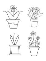 fleurs et marmites, intérieur conception, magnifique fleurs végétaux, plante contour dessin vecteur ensemble, plantes succulentes dans marmites. fleurs dans une pot.