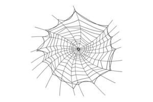 araignée la toile contour vecteur isolé sur blanc Contexte. araignée la toile icône pour Halloween.