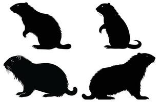 marmotte en marchant silhouette conception, marmotte en marchant noir vecteur conception ,