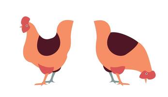 Facile illustré les poules permanent dans différent pose vecteur