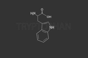 tryptophame moléculaire squelettique chimique formule vecteur