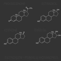 oestrogène femelle les hormones moléculaire squelettique chimique formule vecteur