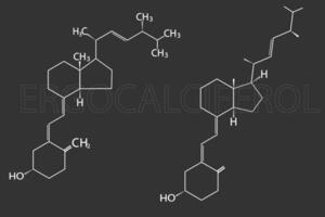 ergocalciférol moléculaire squelettique chimique formule vecteur