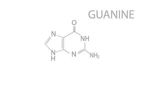 guanine moléculaire squelettique chimique formule vecteur