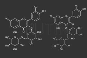 rutine moléculaire squelettique chimique formule vecteur