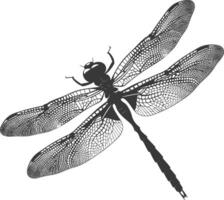 ai généré silhouette libellule noir Couleur seulement plein corps vecteur