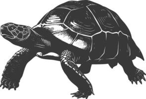 ai généré silhouette tortue animal noir Couleur seulement plein corps vecteur