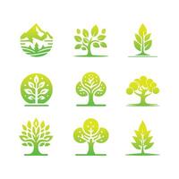 ensemble de arbre icône concept de une stylisé arbre avec feuilles vecteur