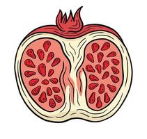 Grenade fruit main tiré gravé esquisser dessin vecteur