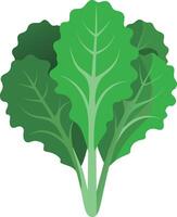 chou frisé, légume à feuilles vert foncé. illustration vectorielle de feuille de chou. vecteur