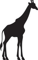 girafe silhouette vecteur illustration blanc Contexte