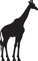 girafe silhouette vecteur illustration blanc Contexte