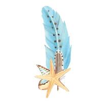 aquarelle composition de petit mer coquilles, mer étoile et bleu plume. main tiré illustration. vecteur