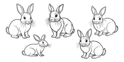 une ensemble de lapin lapin contour esquisser illustration vecteur