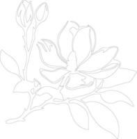 ai généré magnolia contour silhouette vecteur