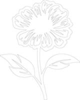 ai généré zinnia contour silhouette vecteur