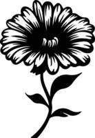 ai généré calendula noir silhouette vecteur