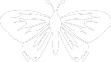 ai généré papillon de nuit contour silhouette vecteur