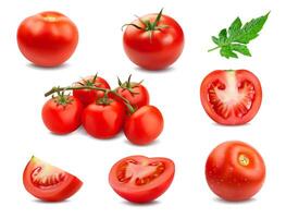 réaliste mûr brut tomate, moitié et tranches 3d ensemble vecteur