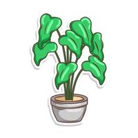 Accueil plante dessin animé style. mis en pot plante isolé sur blanc vecteur