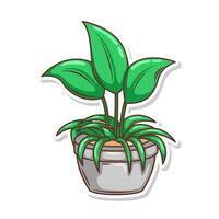 Accueil plante dessin animé style. mis en pot plante isolé sur blanc vecteur