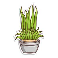 Accueil plante dessin animé style. mis en pot plante isolé sur blanc vecteur