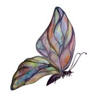 main tiré aquarelle illustration papillon Fée ailes gemme cristal insecte papillon. tourmaline perle labradorite opale. Célibataire objet isolé sur blanc Contexte. conception imprimer, boutique, mariage, anniversaire vecteur