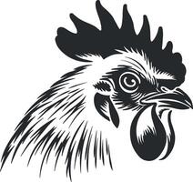 vecteur illustration de une coq sans pour autant Contexte