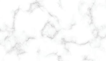 panoramique blanc marbre pierre texture. blanc marbre texture Contexte. haute résolution blanc carrare marbre pierre texture vecteur