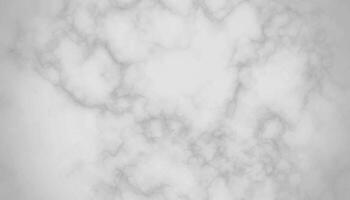 blanc marbre texture panorama luxueux Contexte modèle. blanc et noir pierre céramique art mur intérieur toile de fond conception. marbre avec haute résolution vecteur