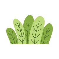 vert herbe feuilles. la nature décoration vecteur