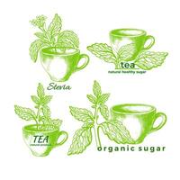 stevia et tasse ensemble. vecteur biologique symbole