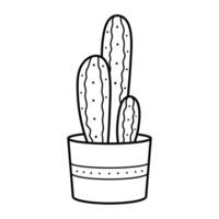 magnifique linéaire cactus dans une pot. maison plante dans griffonnage style. Facile clipart vecteur