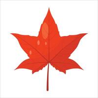 américain sweetgum feuille avec rouge Couleur spécial l'automne vecteur